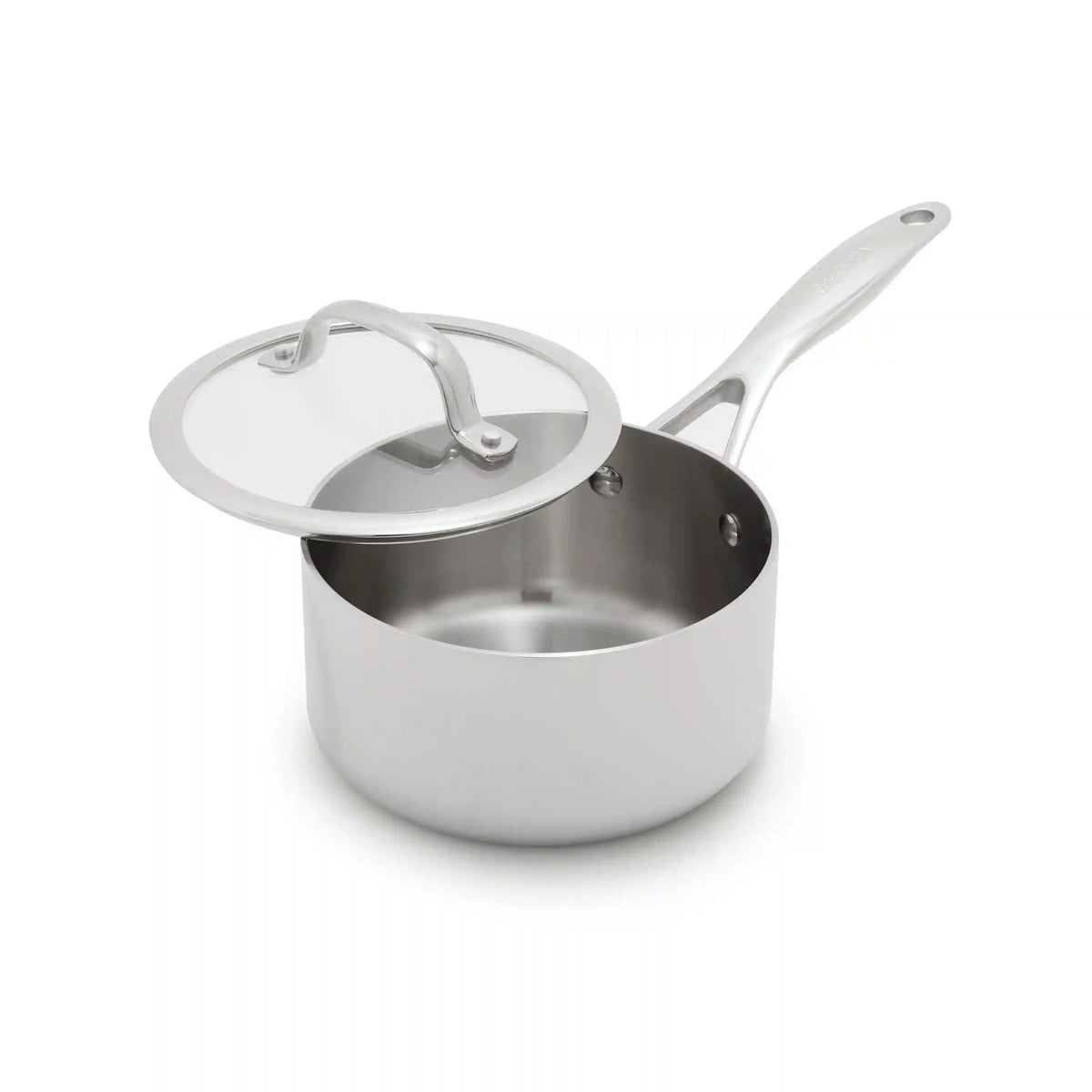 Valencia Pro Stainless Steel Uncoated 1.6-Quart Saucepan with Lid